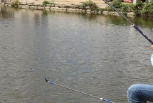 竿型特点，是一种手海两用竿