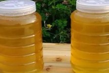 怎样能买到真蜂蜜，太便宜要谨防假货