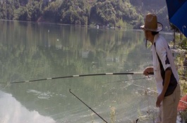 钓甲鱼用针好还是钩子好，首选腥味浓重的荤饵