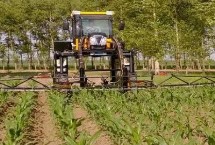 硝磺莠去津有什么作用，可防治一年生阔叶杂草与部分禾本科杂草