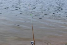 初夏刮什么风有利于钓鱼，刮南风、北风和西北风皆可垂钓