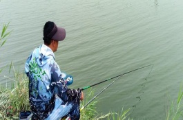 春季雨前好不好钓鱼，春季雨前一般不好钓鱼
