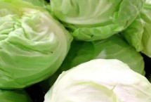 冬季常见蔬菜，南北地区的选择不同