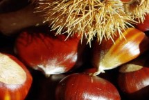 栗子的保存方法，绒毛多、光泽度低的栗子更新鲜