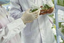 航天育种的基本目标是什么，是利用太空特殊的诱变作用让种子发生变异