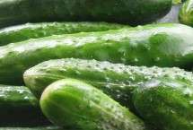 黄瓜的种植方式，大棚种植的黄瓜亩产36000斤左右