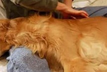 按摩的好处，分为头部按摩、耳部按摩、背部按摩、肩部按摩等