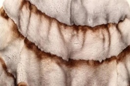 真貂皮和假貂皮的区别，皮料柔软、无异味、加工精良的貂皮比较好