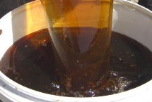 土蜂蜜由哪种蜜蜂生产，产于我国北方地区