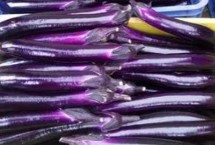 茄子哪个季节成熟，看茄子的“眼睛”最准确