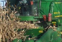 玉米收割机停机检修的要点，转弯的速度不得超过3-4km/h