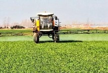 除草剂药害有哪些症状，2-8个小时之后下雨不会影响效果