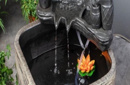 鱼缸换水有哪些注意事项，水循环鱼缸也需要换水