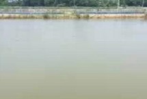 池塘爆发青苔如何处理，可采取加水换水、清塘改底等措施