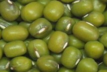 绿豆如何水培，有绿、黄、褐、黑及青绿五种颜色