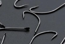 秋田狐钩的适钓鱼种，适合钓黄尾鱼