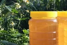 200元一斤的土蜂蜜贵不贵，零售价通常为40-80元一斤