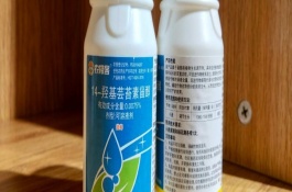 芸苔素内酯在使用过程中注意事项，来源、安全性和技术性等均不同
