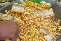 老玉米能否打窝，对鱼儿的吸引力并不强