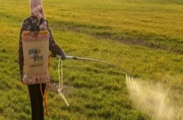 草铵膦打到树根会不会死，二者不是同一种农药