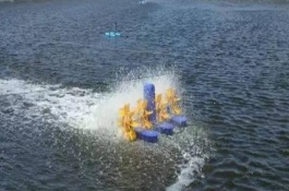 水产养殖面积较大应该怎么杀虫，每次注水深度保持在12-14厘米左右