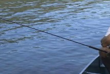 拉饵有丝但是拉不出球怎么办，夏季和冬季的选择不同