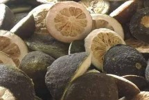 枳壳品种哪个产量高，外形和药性均不同