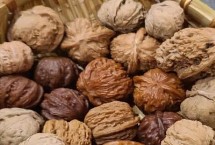 山核桃和核桃的区别，生长环境和产地均不同