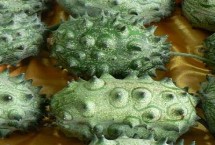 怎么挑选优质火参果，放在阴凉通风处可存放数月