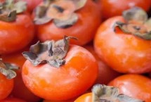 哪些地方产出的柿子比较好吃，民俗认为霜降吃柿子可避免嘴唇开裂