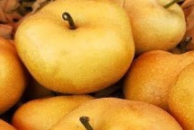 丰水梨上市季节，通常在秋季供应