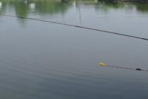 春季钓鱼饵料配方，连续高温要钓浅