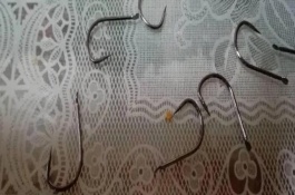 5号新关东钩搭配什么子线，8斤以内的鲤鱼均可垂钓