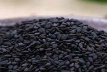 芝麻什么时候收割，磷肥、酸性肥料、叶面肥等都不适合