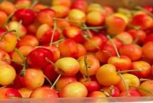 金车厘子相关介绍，颜色、大小和口感均不同