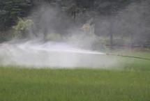 除草剂的作用原理，需正确掌握用药时期和剂量