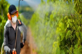 有哪些葡萄催红剂，主要有S-诱抗素、虾红素等