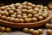 龙达157大豆栽培技术要点，高肥力地块2万株/亩