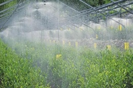 水肥一体化的优势，固态肥料要与水混拌成液肥