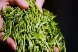 绿茶是不是发酵茶，是一种绿茶也是我国的名茶