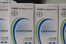 百球清可以和普通的内驱药一起用吗，安全性较高可以一起使用