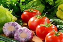 蔬菜种子浸泡催芽方法，浸泡时间多为半小时