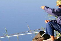 秋田狐钩0.8号可以钓多大的鱼，通常只能垂钓不超过1两的鱼种