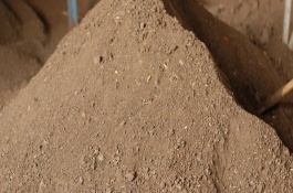 鱼粪能不能作为花肥，直接使用容易引发病害