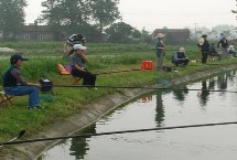 钓草鱼能用玉米吗,钓底和钓浮都可以
