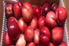 油桃是什么季节的水果，缸、罐或纸箱均可储藏