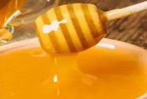 紫云英蜂蜜和椴树蜂蜜的区别，在中医药理论中偏凉性