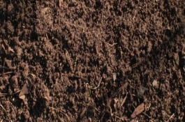 怎么辨别酸性土壤和碱性土壤，有硫酸亚铁、磷石膏等