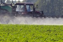 现代农业的主要特征，可采取调整结构、改善产品质量、发展特色品牌农业等措施