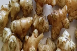 洋姜产量高但为何无人种植，味道和用途均不同